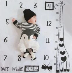 Mijlpaaldeken Snoes - Mooie Zachte Mijlpaaldeken Giraffe - Milestone Blanket - Mijlpalen Baby - Babyshower - Kado - Zwanger - Kraam Cadeau - Fotodeken - Inclusief Props (kaders)