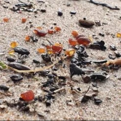 Merkloos Life Fashion - Barnsteen Baby Armband - 12 CM - Cognac - Amber Baby Armband - Pijn Verminderend Doorkomende Tandjes - Barnsteen Lithouwen - Baltisch Barnsteen -Pasgeborenen En Jonge Kinderen 1200x1200 1126