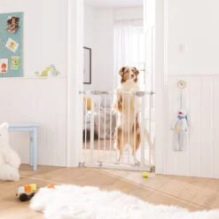 Hauck Autoclose N Stop 2 Veiligheidshekje - 75 Tot 80 Cm - Uitbreidbaar - White 21 Hauck Autoclose N Stop 2 Veiligheidshekje - 75 Tot 80 Cm - Uitbreidbaar - White -Pasgeborenen En Jonge Kinderen 1200x1200 1697