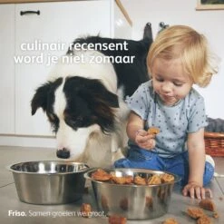 Friso 3 - Opvolgmelk - Vanaf 10 Maanden - 700g - Doos -Pasgeborenen En Jonge Kinderen 1200x1200 222