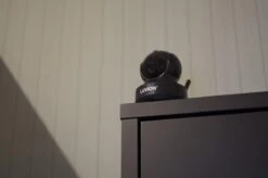 Luvion Essential Limited Black Edition Babyfoon Met Camera - Babyphone - Premium Baby Monitor -Pasgeborenen En Jonge Kinderen 1200x797 9