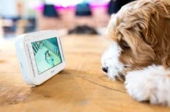 Alecto DVM-200GS - Babyfoon Met Camera - Op Afstand Beweegbaar - Grijs -Pasgeborenen En Jonge Kinderen 1200x799 27