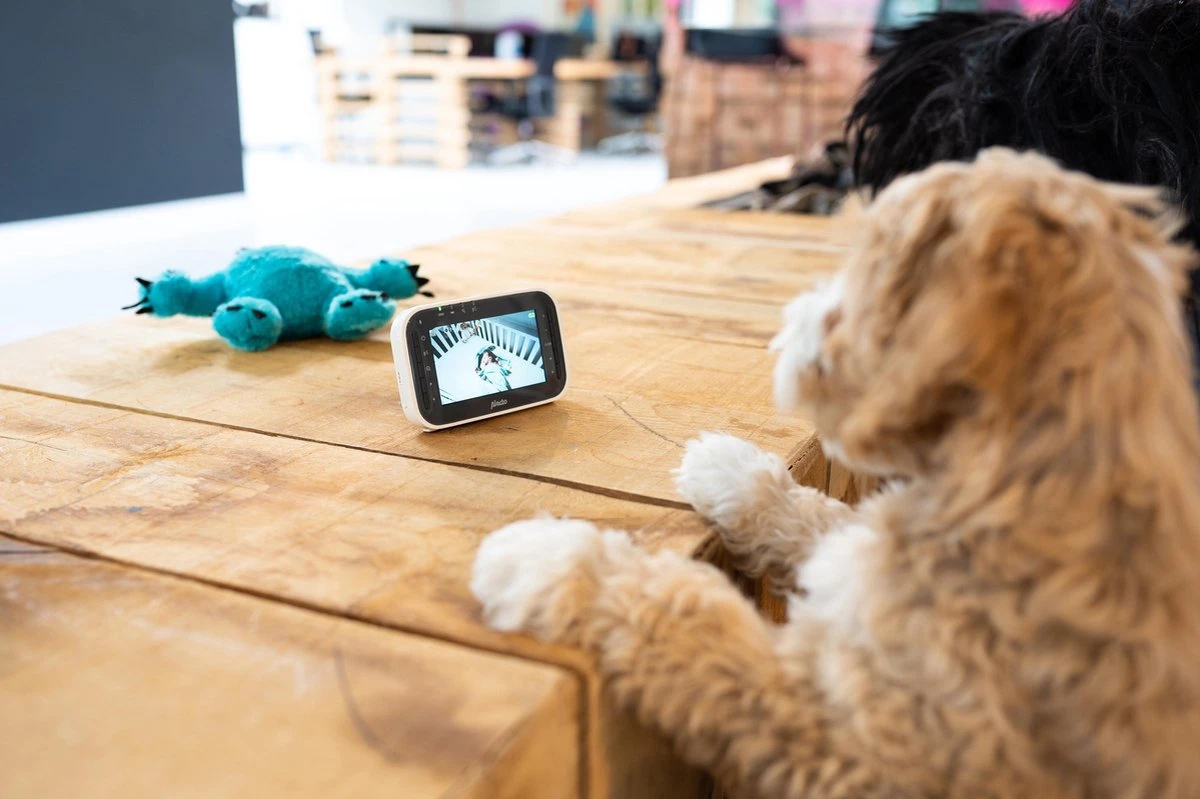 Alecto DVM-143 - Babyfoon Met Camera - Temperatuurweergave - Wit 6 Alecto DVM-143 - Babyfoon Met Camera - Temperatuurweergave - Wit - Afbeelding 6