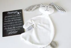 Brievenbus Cadeau Knuffel Konijn Wit - Cadeau Zwangerschap - Cadeau Baby - Kraamcadeau -Pasgeborenen En Jonge Kinderen 1200x800 132