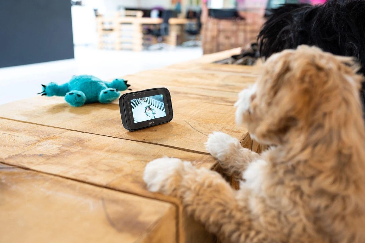 Alecto DVM200BK - Babyfoon Met Camera - Op Afstand Beweegbaar - Zwart 15 Alecto DVM200BK - Babyfoon Met Camera - Op Afstand Beweegbaar - Zwart - Afbeelding 15