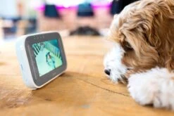 Alecto DVM-200GS - Babyfoon Met Camera - Op Afstand Beweegbaar - Grijs -Pasgeborenen En Jonge Kinderen 1200x800 186