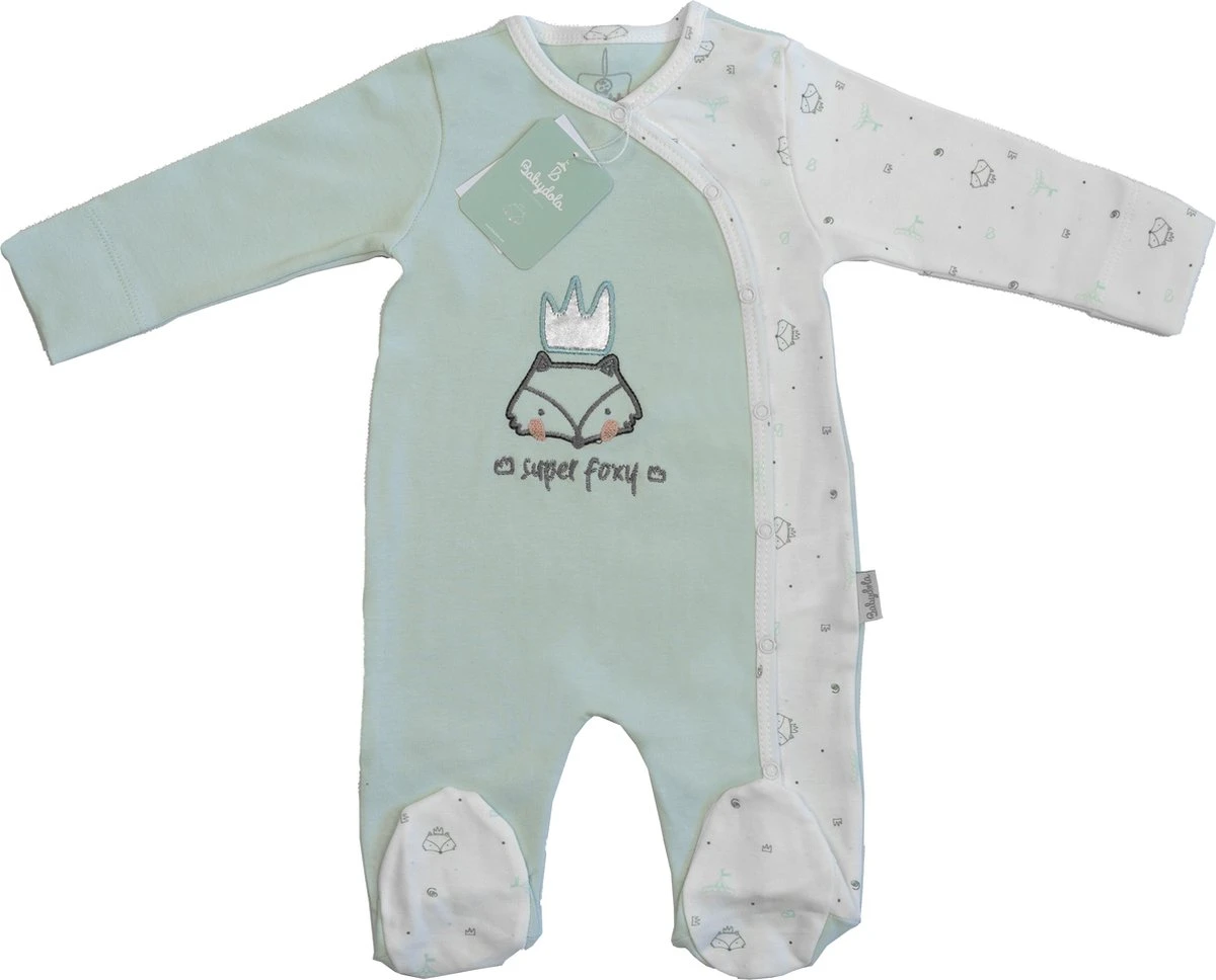Merkloos 100% Katoen Fox Newborn Baby Kleding Set 6 Delig - Mint Groen - Geschkenkset - Pasgeboren Set - Organic 5 Merkloos 100% Katoen Fox Newborn Baby Kleding Set 6 Delig - Mint Groen - Geschkenkset - Pasgeboren Set - Organic - Afbeelding 5