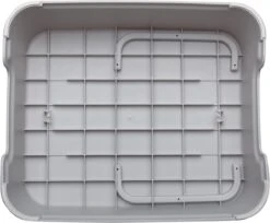 Splendole Opstapje - Badkameropstapje Kinderen - Wc Krukje 27 Cm Grijs 9 Splendole Opstapje - Badkameropstapje Kinderen - Wc Krukje 27 Cm Grijs -Pasgeborenen En Jonge Kinderen 1200x993 3