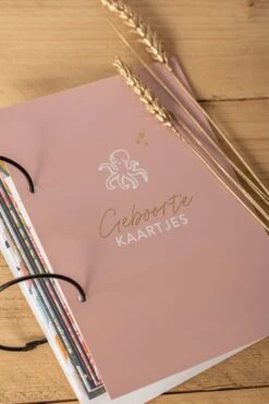 Bewaarbundel Geboorte Kaartjes - Great Memories - Roze - Design Octopus Met Goudfolie -Pasgeborenen En Jonge Kinderen 800x1200 65