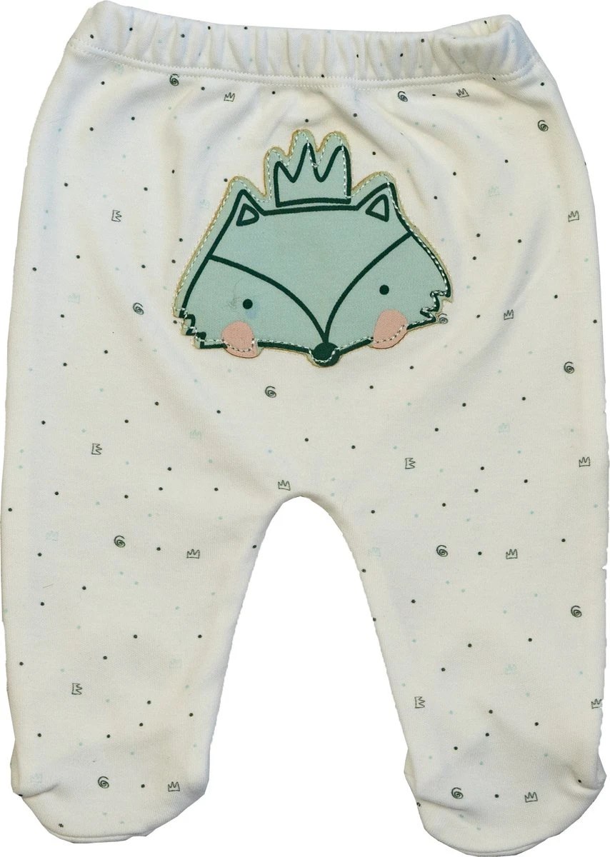 Merkloos 100% Katoen Fox Newborn Baby Kleding Set 6 Delig - Mint Groen - Geschkenkset - Pasgeboren Set - Organic 4 Merkloos 100% Katoen Fox Newborn Baby Kleding Set 6 Delig - Mint Groen - Geschkenkset - Pasgeboren Set - Organic - Afbeelding 4