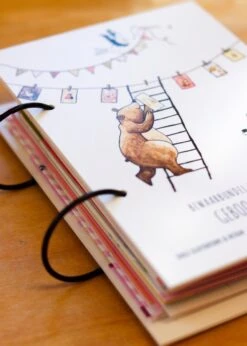 Juulz Illustrations - Bewaarbundel Geboortekaarten - Kraamcadeau - Geboortekaartjes Bewaren - Bewaarbundel -Pasgeborenen En Jonge Kinderen 856x1200 2